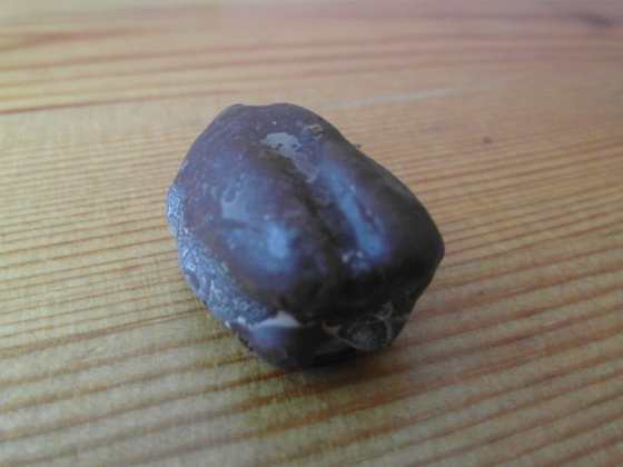 Jeden pekanový bonbon v čokoládě